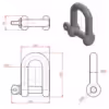 D Shackle with Screw Collar Pin - Image 2